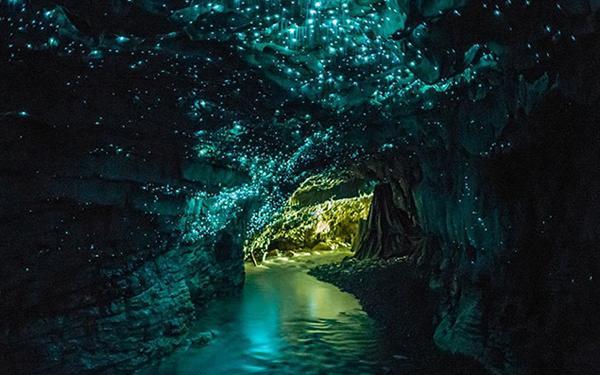 驿家党团助力，情满归家旅途