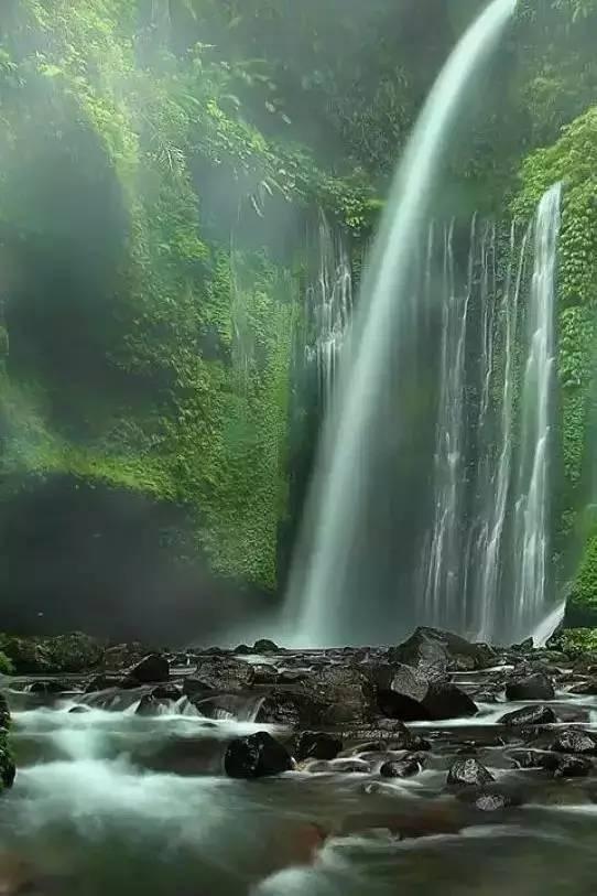 阴阳师