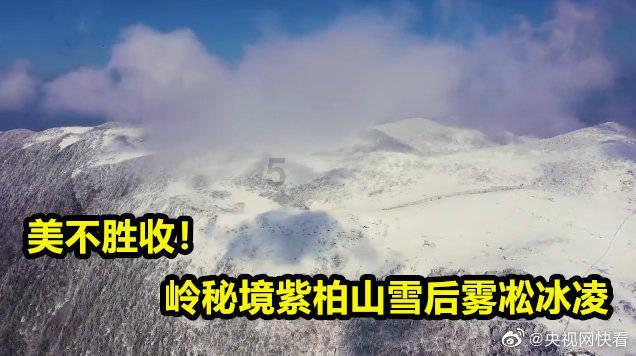坦克反击战