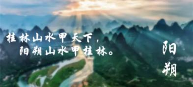 逃离金色蜜蜂森林
