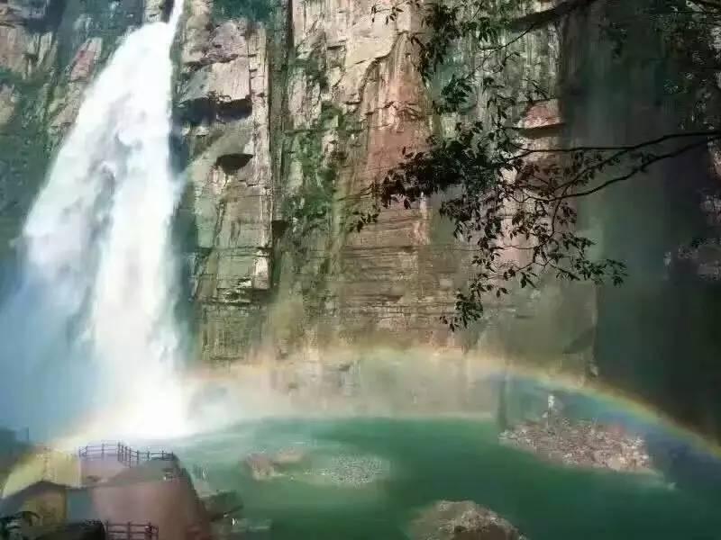 救援卡通小象
