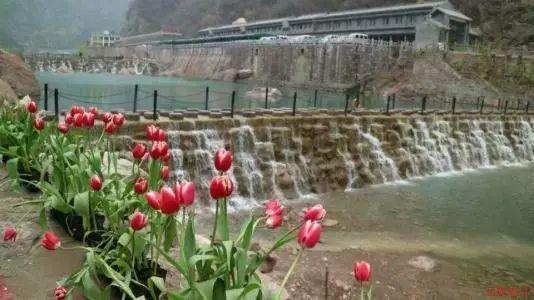 逃离阴森的岛屿