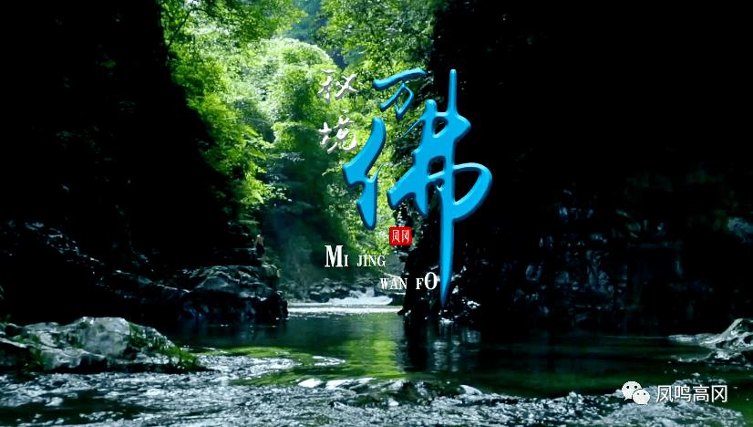 果果大作战