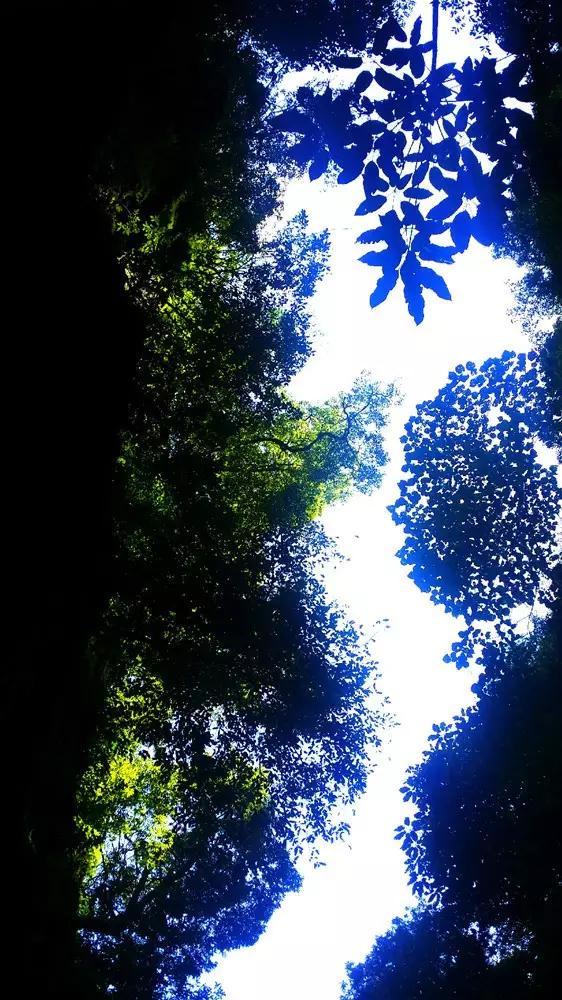 终结者2官方手游