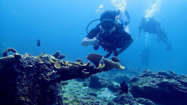 2024全国社区春晚 文旅岳阳抢先带你看