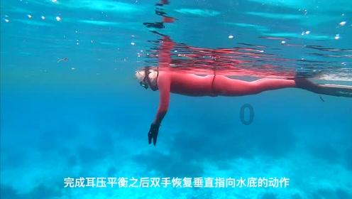 口袋侏罗纪