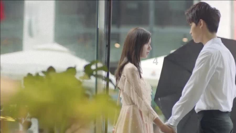 雨后盛放