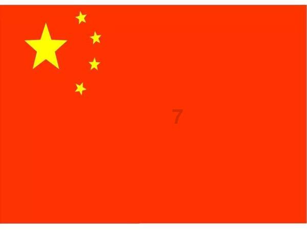 伯斯森林逃生