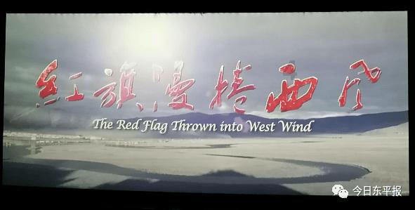 宠物世界聚会