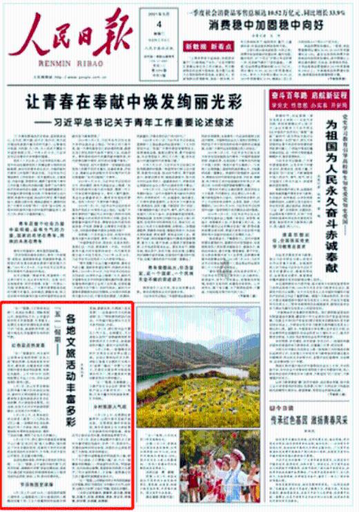 救援小蝙蝠
