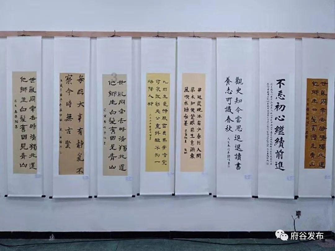 雨后盛放