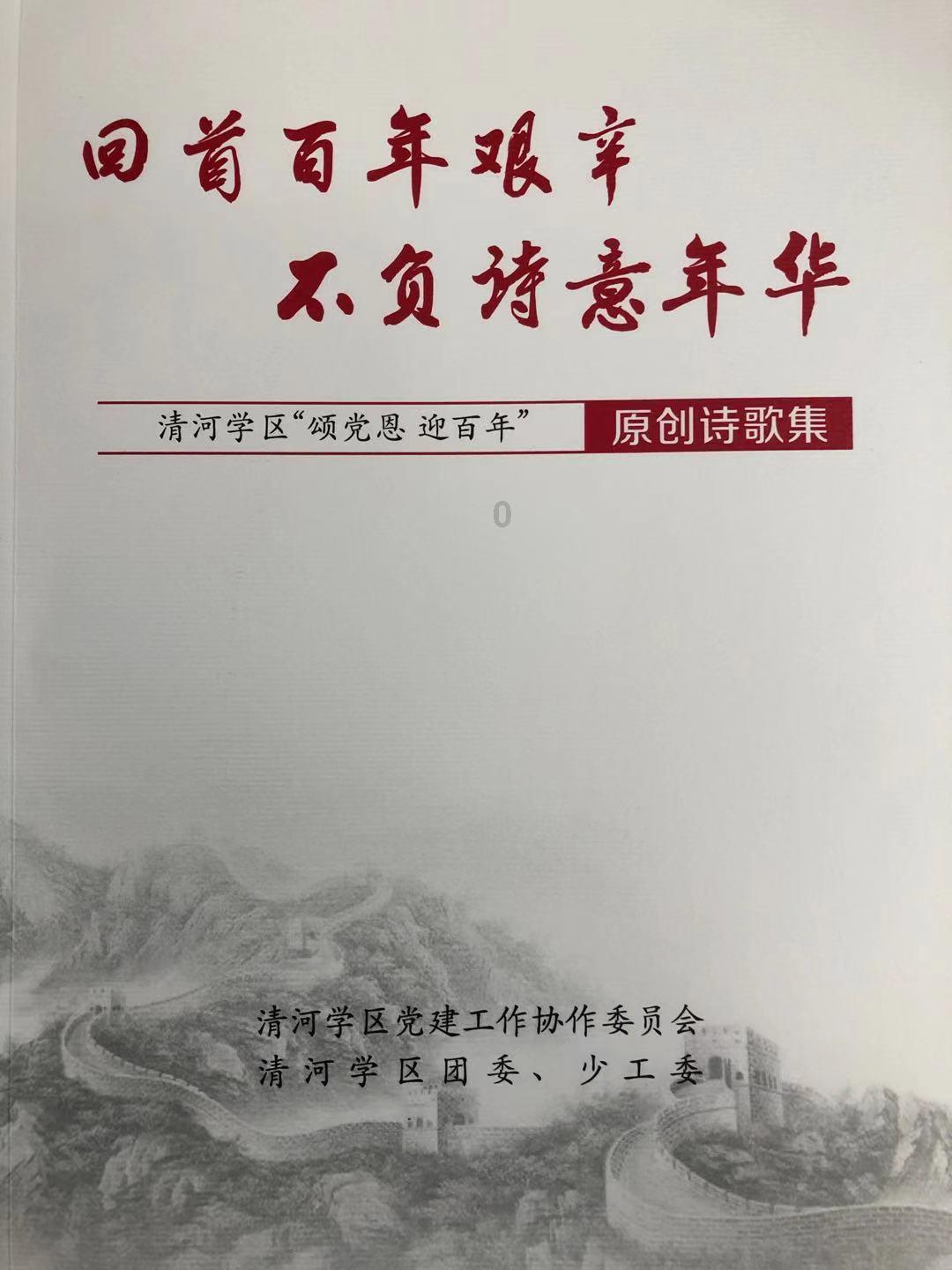 夏季纽扣裙