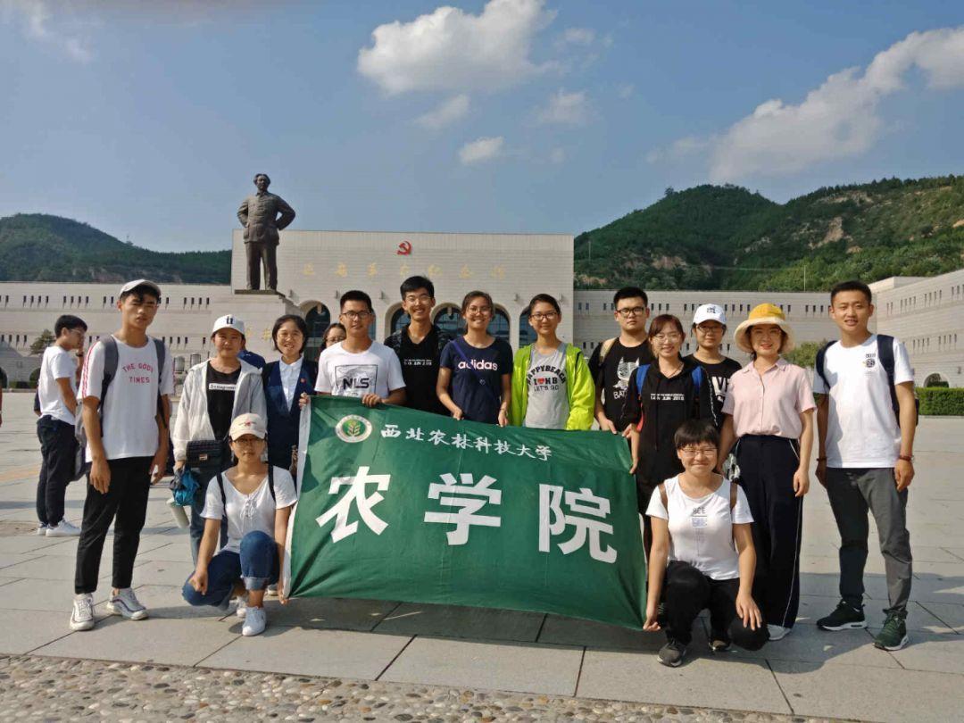沙漠避难所