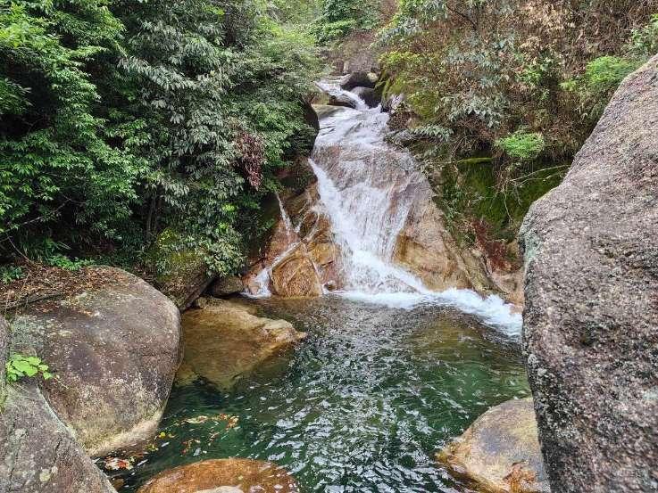 拯救可爱小浣熊