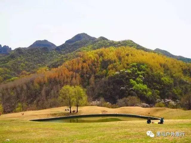 千城百县看中国·传承丨面塑