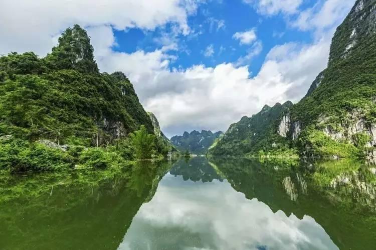 镜之边缘：催化剂