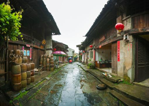 新手怎样养一个月的鹦鹉？游戏画面