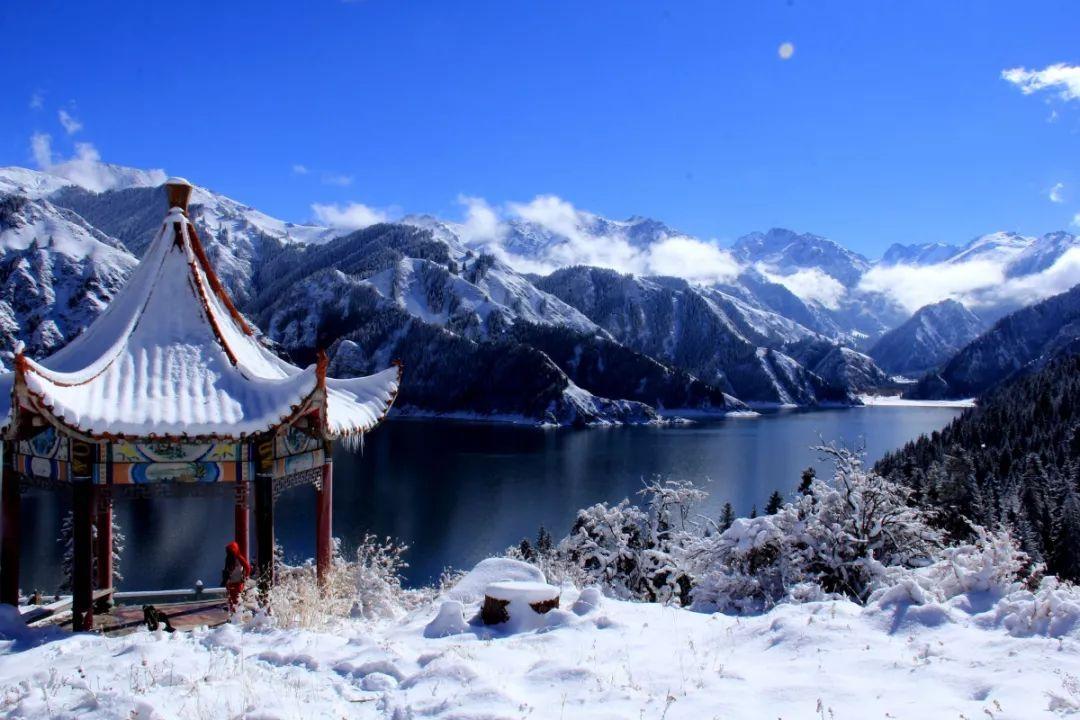 虫虫助手下载